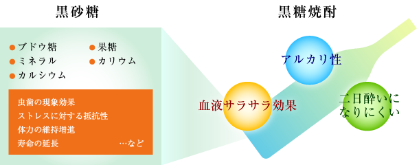 黒砂糖から引き継いだ黒糖焼酎の成分