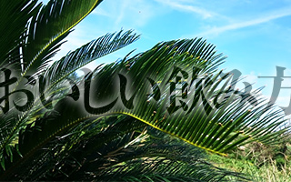 黒糖焼酎の歴史、成分を紹介します。